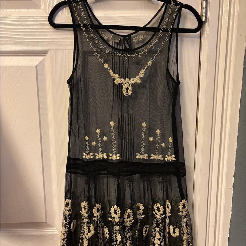 Anthropologie Lithe Embroidered Sheer Mini Dress